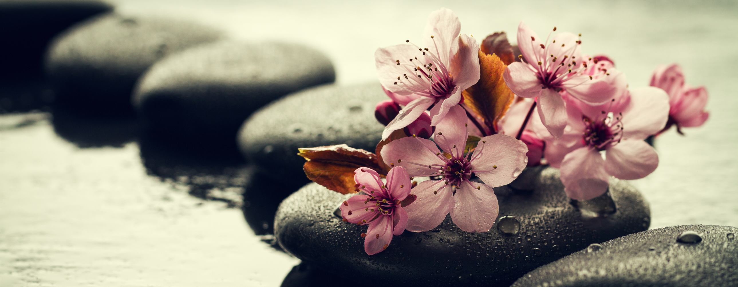 image-relaxante-spirituelle